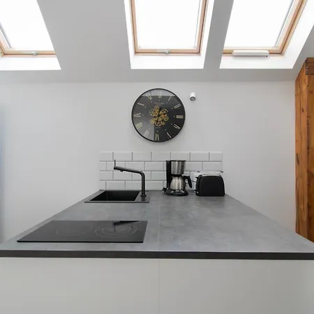Apartament Duplex In The Center Of *